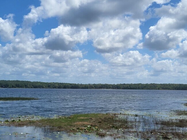 Building Photo - Little Lake Weir Waterfront FENCED 3BR/2BA on 6 Acres with Horse Barn, Private Boat Ramp & Dock