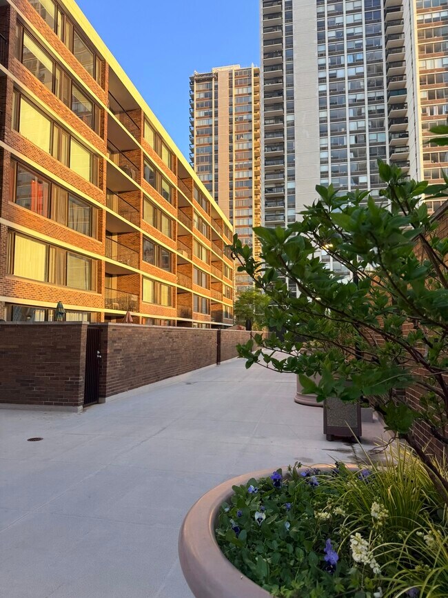 Building Photo - 1560 N Sandburg Terrace