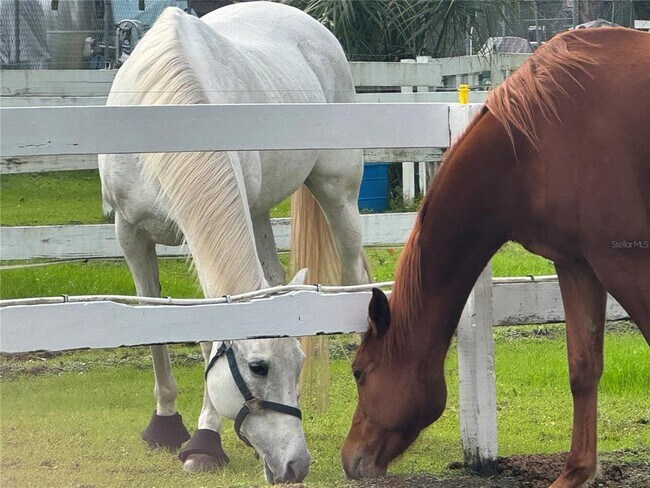 Building Photo - 260 Crown Oaks Way