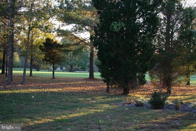 Building Photo - 18162 White Tail Way