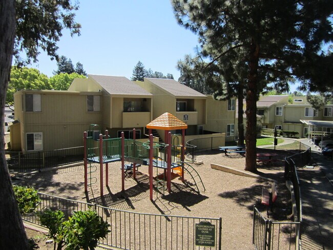 Building Photo - 1333 N Camino Alto