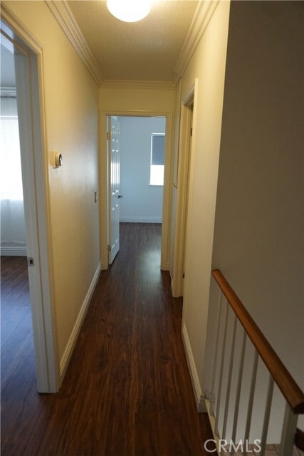 Building Photo - 1710 Maxwell Ln