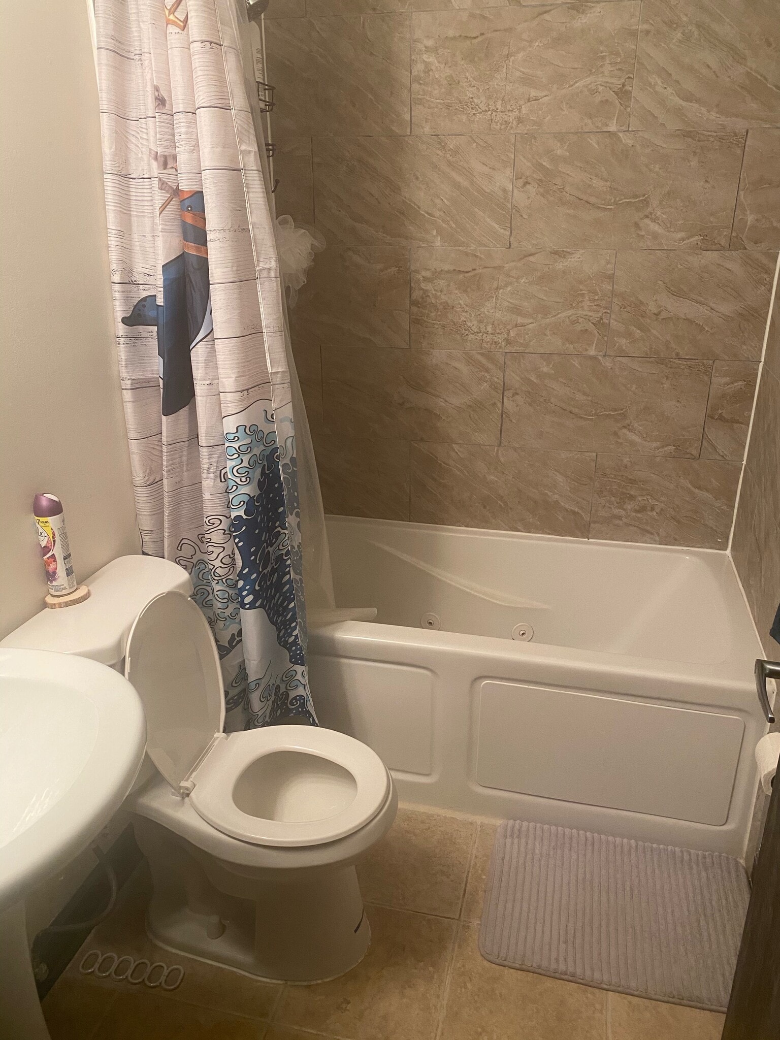 Bathroom Jacuzzi Tub - 6415 N Greenview Ave