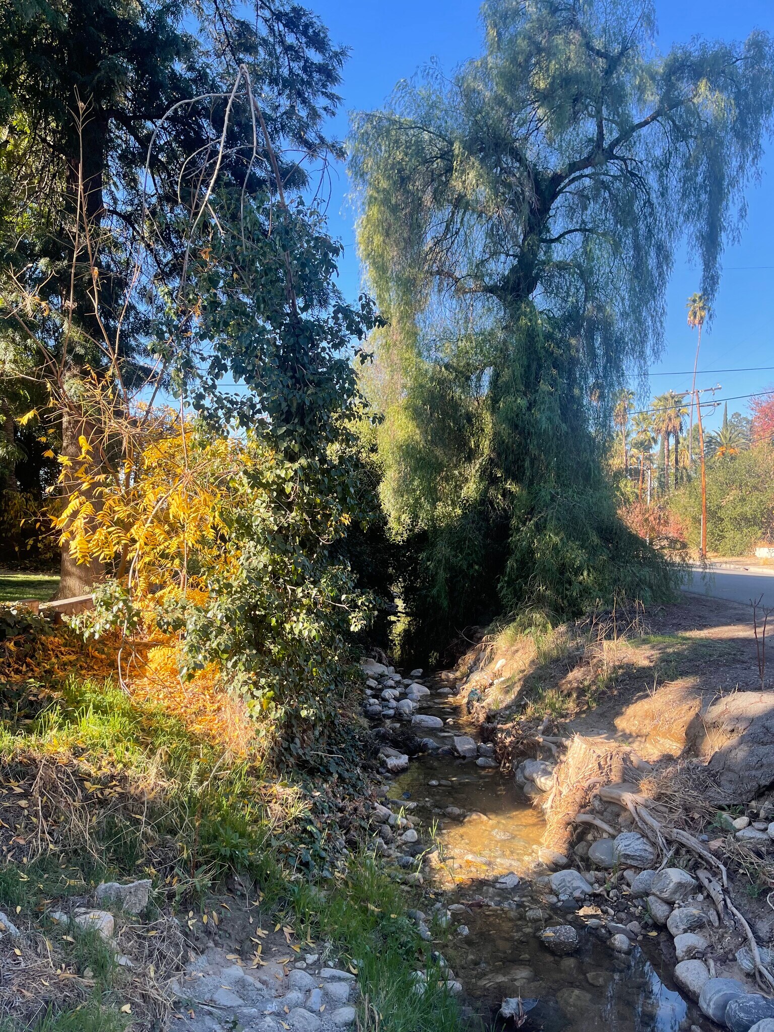 Building Photo - 1316 Sylvan Blvd