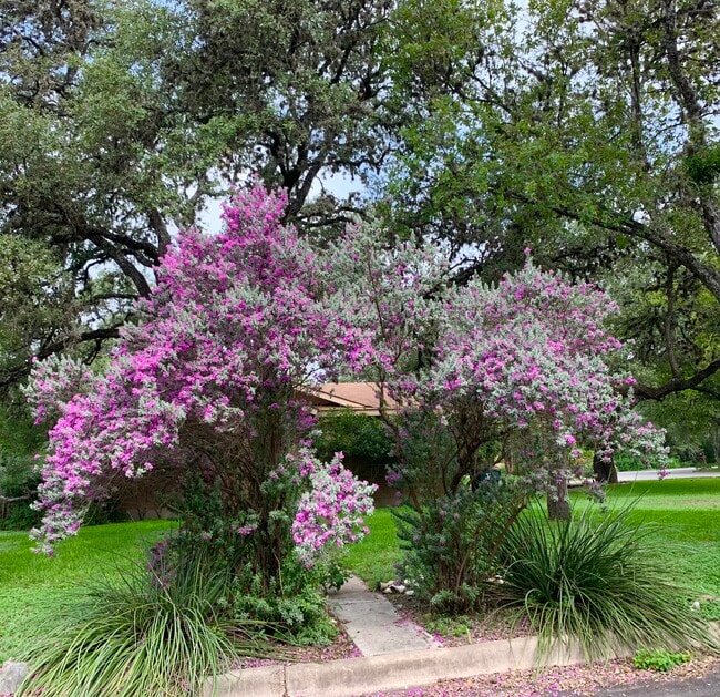 Building Photo - 1000 Hillyer St