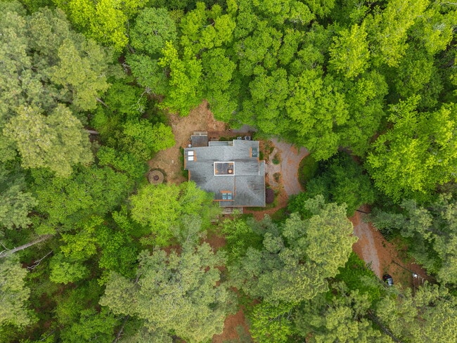 Building Photo - 709 Orchard Ln