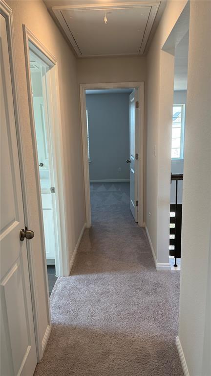 Building Photo - 4620 Modena Bay Bend