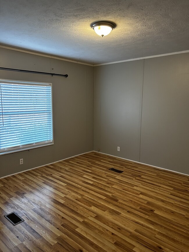 Building Photo - 31 Buena Vis Dr