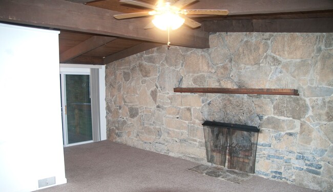 Living room with fireplace - 165 E Cherry Ln