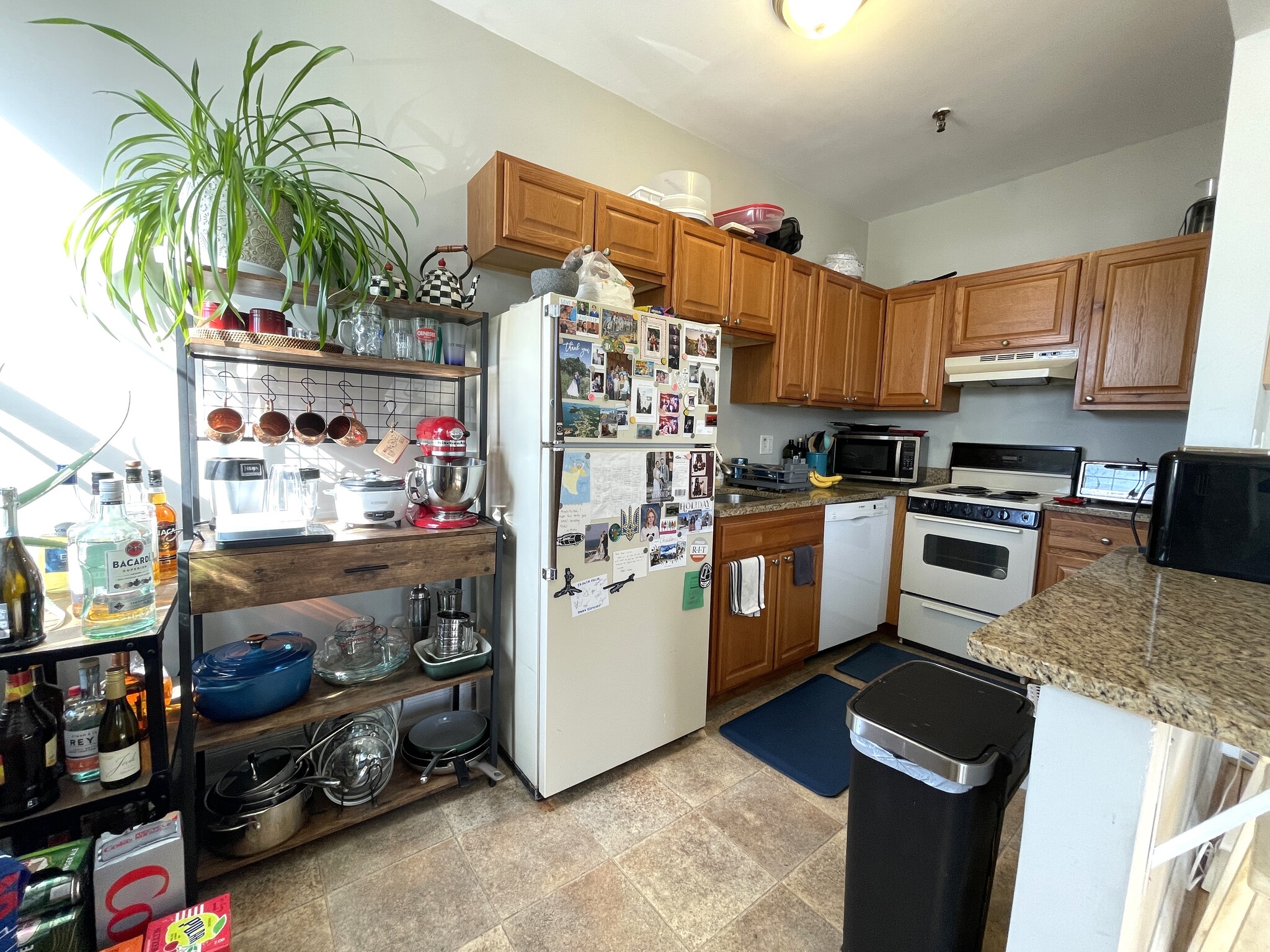 Kitchen - 374 Chestnut Hill Ave