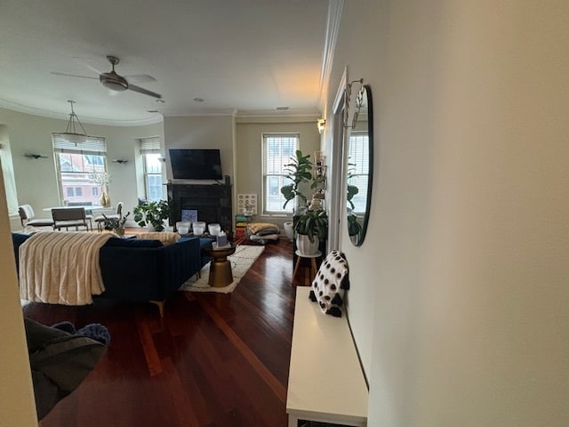 Building Photo - 36 S Ashland Ave