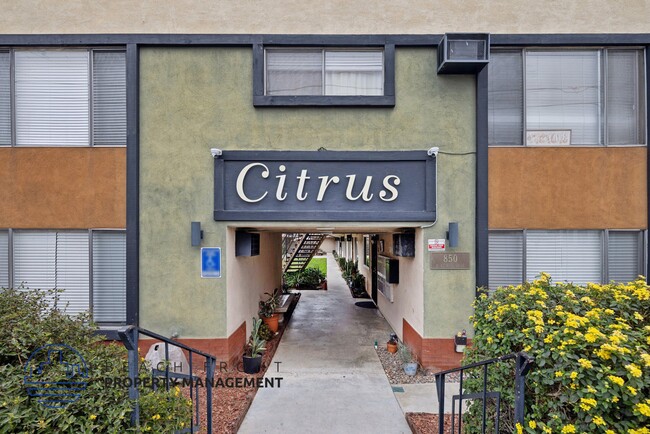 Building Photo - Citrus Apartments