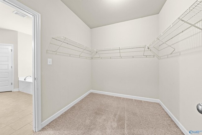 Building Photo - 3013 Mallard Point Dr SE