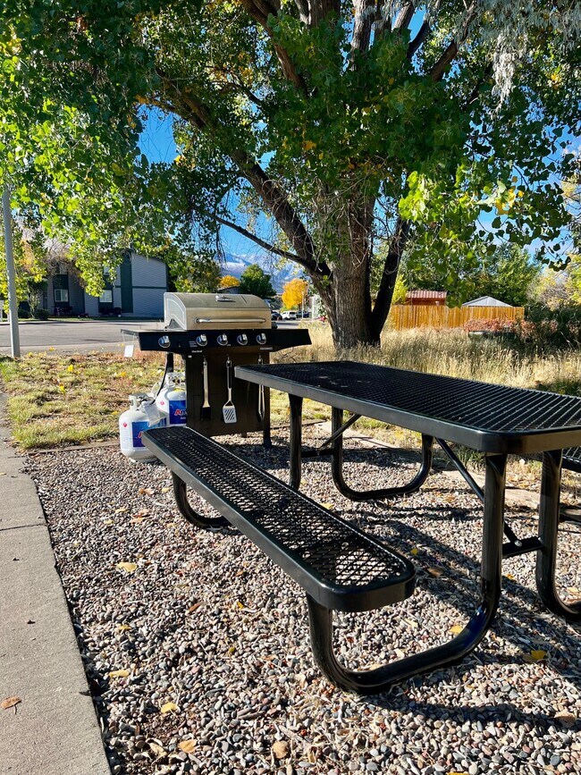 Building Photo - Wind River Apartment for Rent!