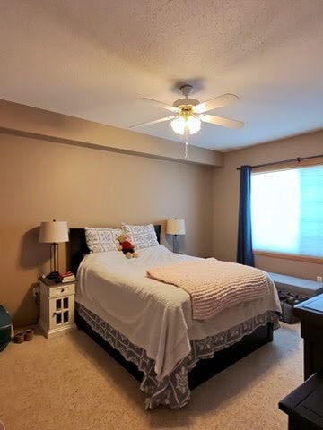 Building Photo - 11514 Baltimore St NE