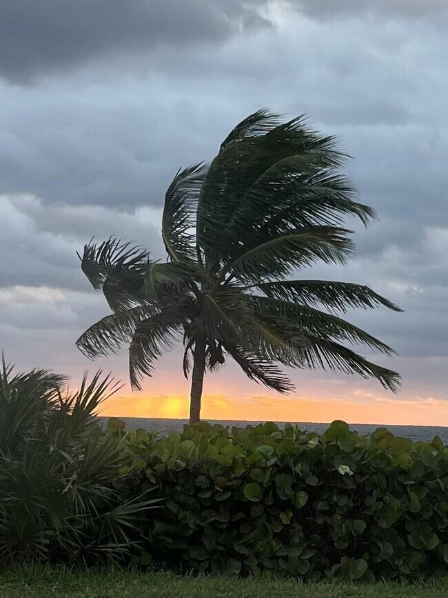 Building Photo - 2871 N Ocean Blvd