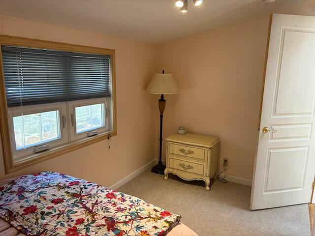 Building Photo - Cozy 2 Bed house near main street in Buena Vista - Allows pets! All Utilities included