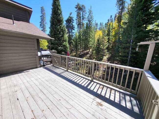 Building Photo - 3712 Silverheels Dr