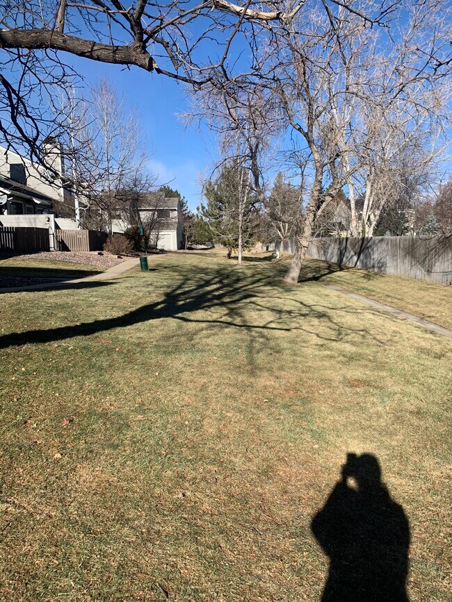 Open Space Out Front Door - 356 S Taft Ct