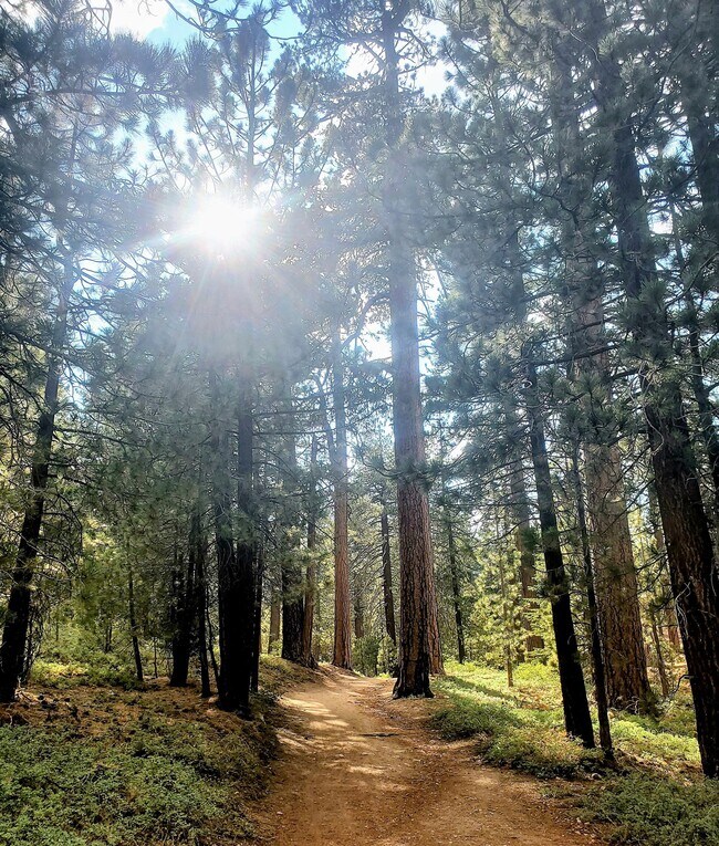 Building Photo - 15000 Geneva Ct