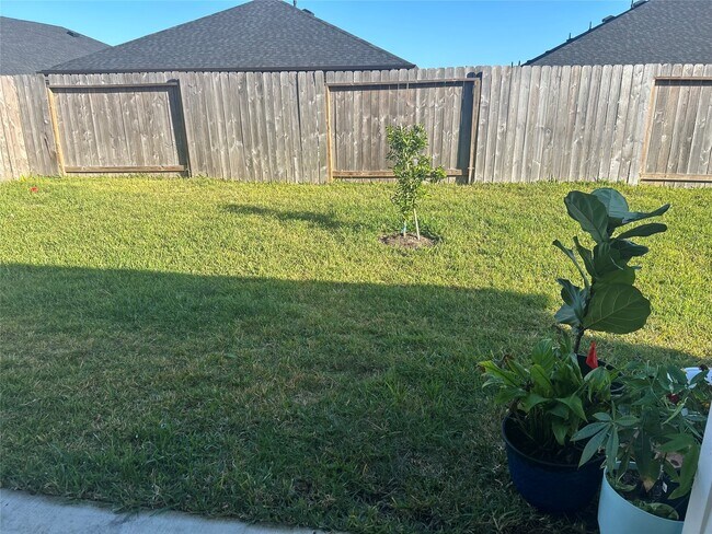 Building Photo - 1119 Fringed Bluestar Dr