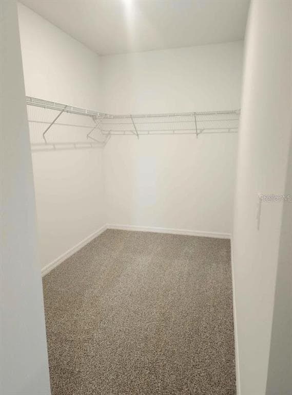 Building Photo - 2501 Merseyside Ct