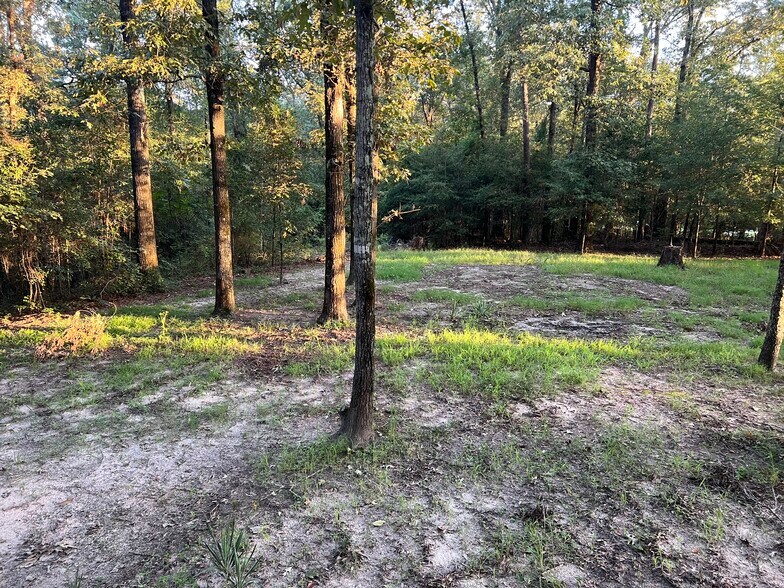 WOODED LOT - 160 S Lake Dr