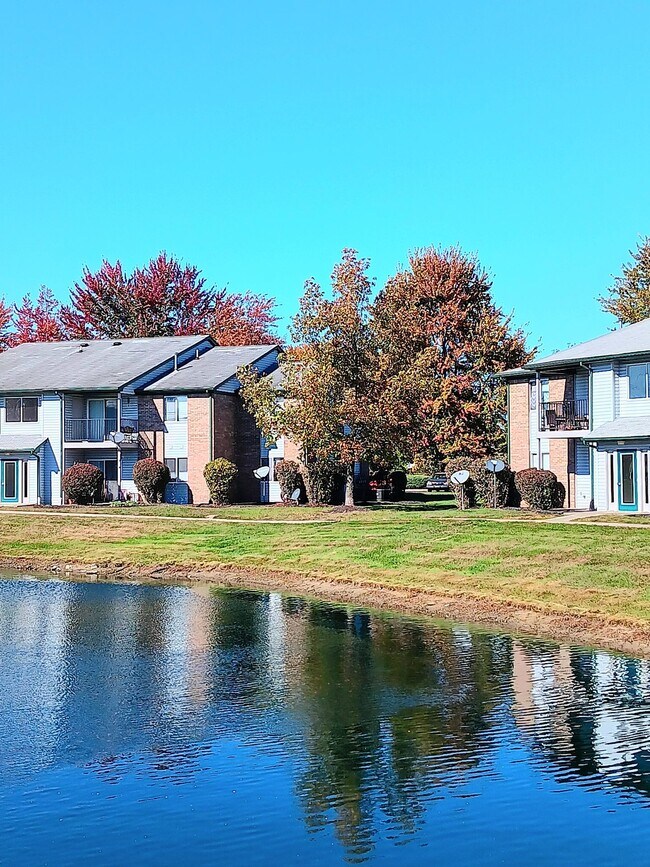 Building Photo - Beautiful 2-bedroom 1 bath apartment, down...