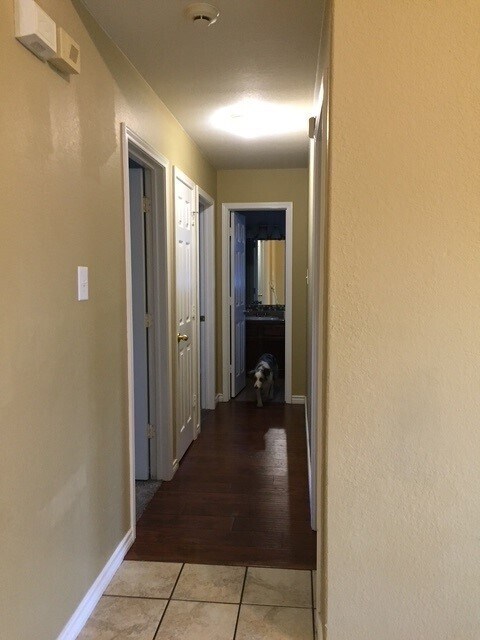 Building Photo - 3402 Warfield Dr