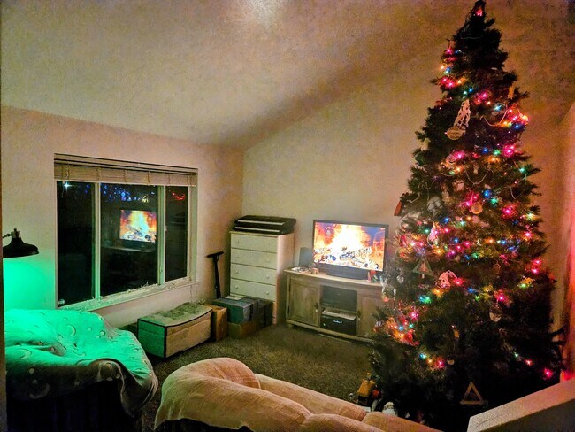 A Christmas tree is in the garage ready to use. - 241 Sunstone Cir
