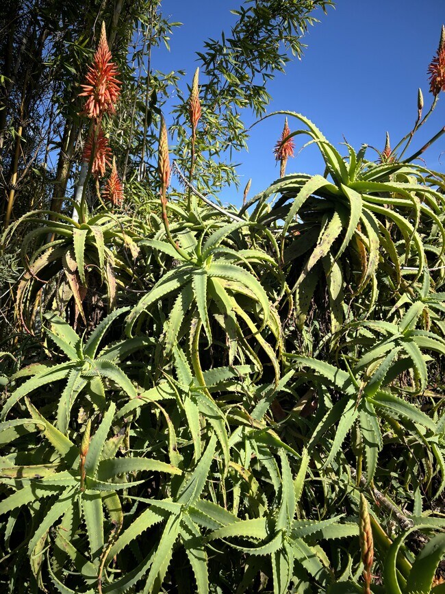 Building Photo - 1090 Devonshire Dr