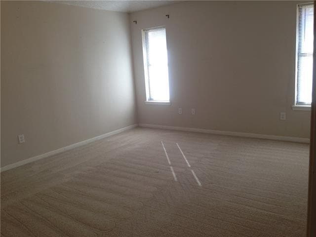 Building Photo - 4617 Catclaw Dr