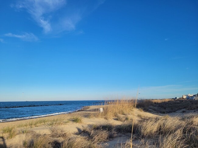 Building Photo - 2 Bedroom, 2.5 Bath Condo with with Ocean ...