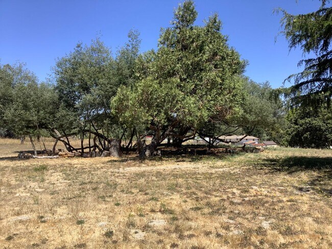 Building Photo - Sebastopol country property