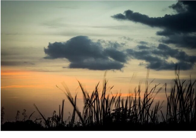 Building Photo - 4280 55th St