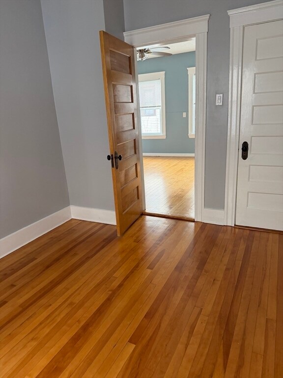 Building Photo - 29 Boardman St