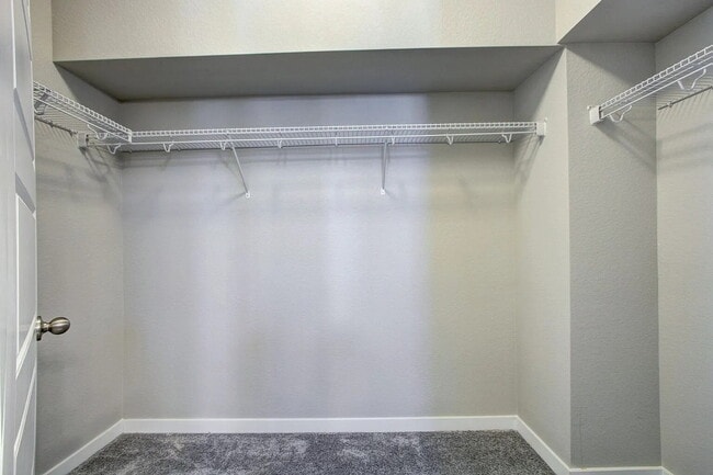 Building Photo - "Charming 2-Bedroom Retreat with 2 Full Baths and Spacious 1793 sq ft Layout in Castle Rock!"