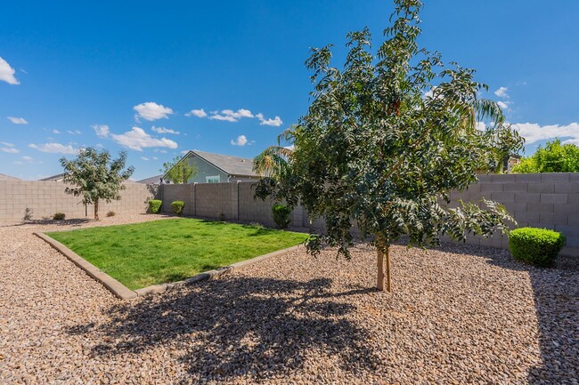 Building Photo - Beautiful and Spacious Single-Level Family...
