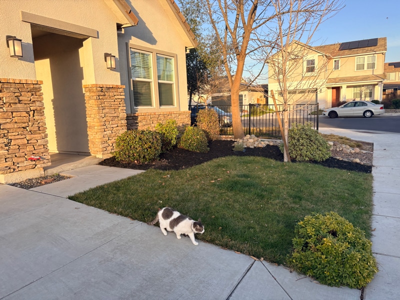 Building Photo - 3213 Showcase Way