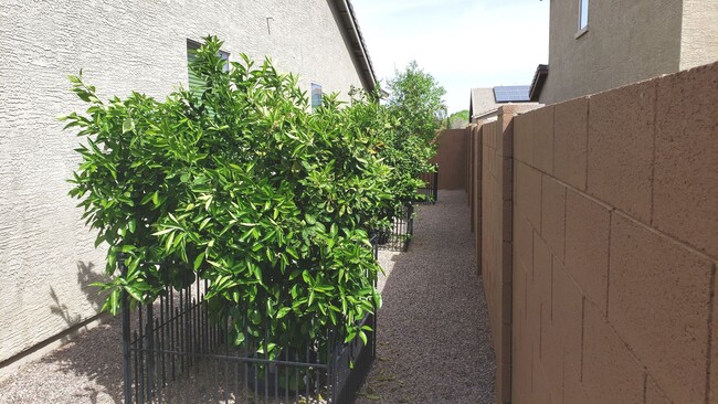 Building Photo - Fully Furnished/Unfurnished/Short Term/Long Term/ Vacation Rental Options