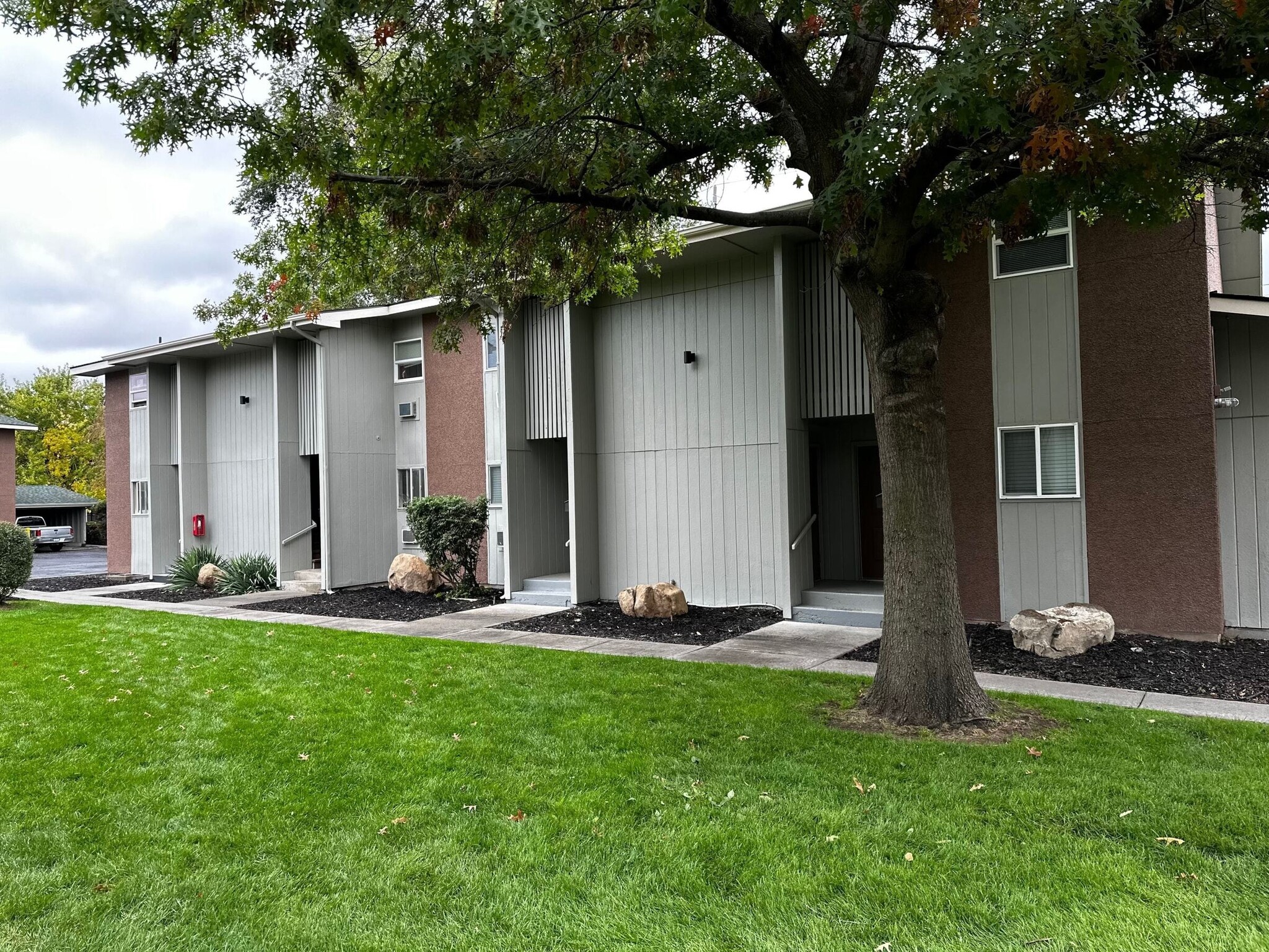 Building Photo - Standard Street Oasis Apartments