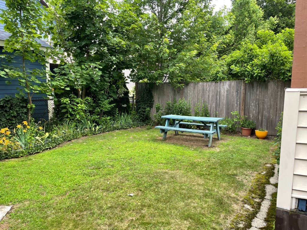 Backyard - 98 Palmer St