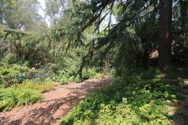 Building Photo - Mid-Century Montclair 3+ Bedroom with Filtered San Francisco Bay Views!