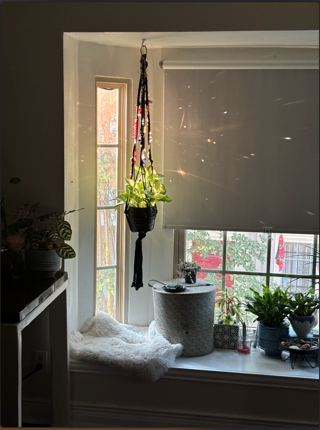 Secondary Bedroom Window over looking courtyard (Current Tenants Photo) - 5239 Arboles Dr