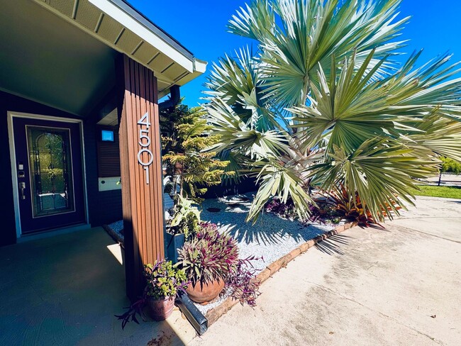 Primary Photo - Elegant and Updated 3/2 Pool Home just min...