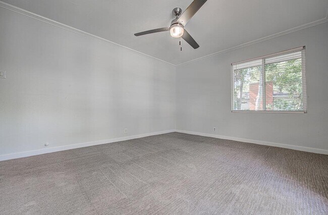 Building Photo - 6106 Shoal Creek Blvd