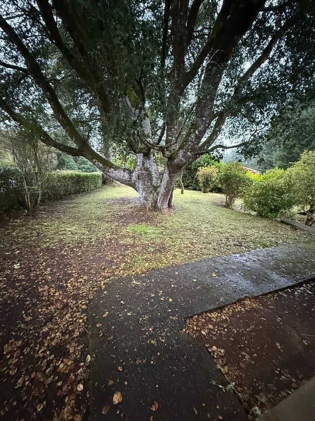 Building Photo - Newly Updated! 3 Bed/2 Bath House on a Large Lot!