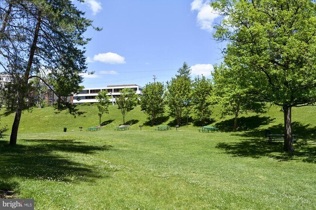 Building Photo - 3701 S George Mason Dr