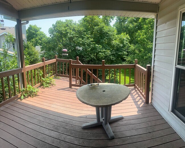 Building Photo - Spacious Home in Ladue Schools