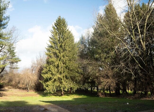 Building Photo - 197 Mercer Mill Rd